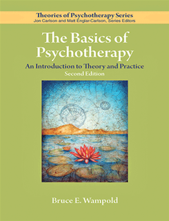 The Basics of Psychotherapy: An Introduction to Theory and Practice (PDF)