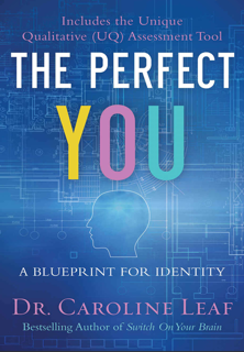 The Perfect You: A Blueprint for Identity (PDF)